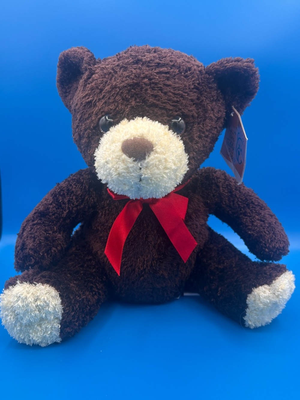 Vintage Tim Hortons Tim Teddy Cares with two original hang tags attached!